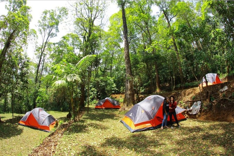 Camping Ground Mojosemi Forest Park